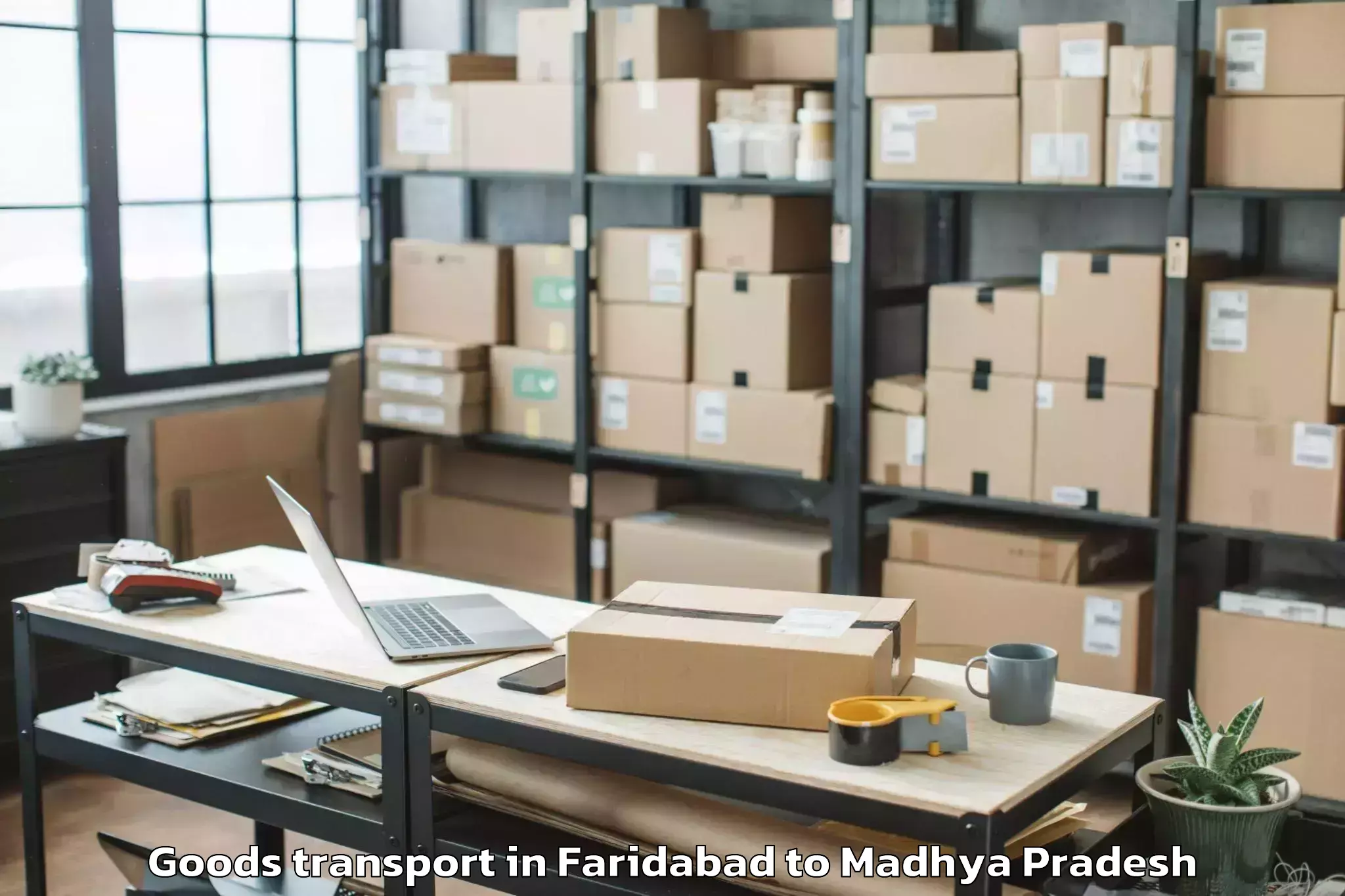 Leading Faridabad to Shajapur Goods Transport Provider